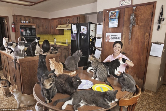 3 Things a Crazy Cat Lady Can Teach You About Conversion Optimization