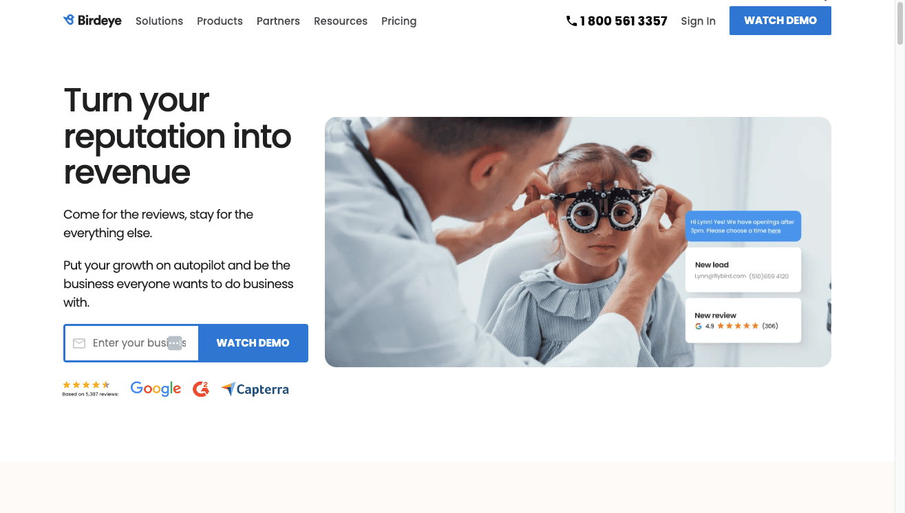 Thumbnail screenshot of a Birdeye landing page