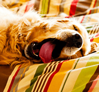 Conversion Copywriting Don't Anesthetize Your Colleagues with Bad Writing