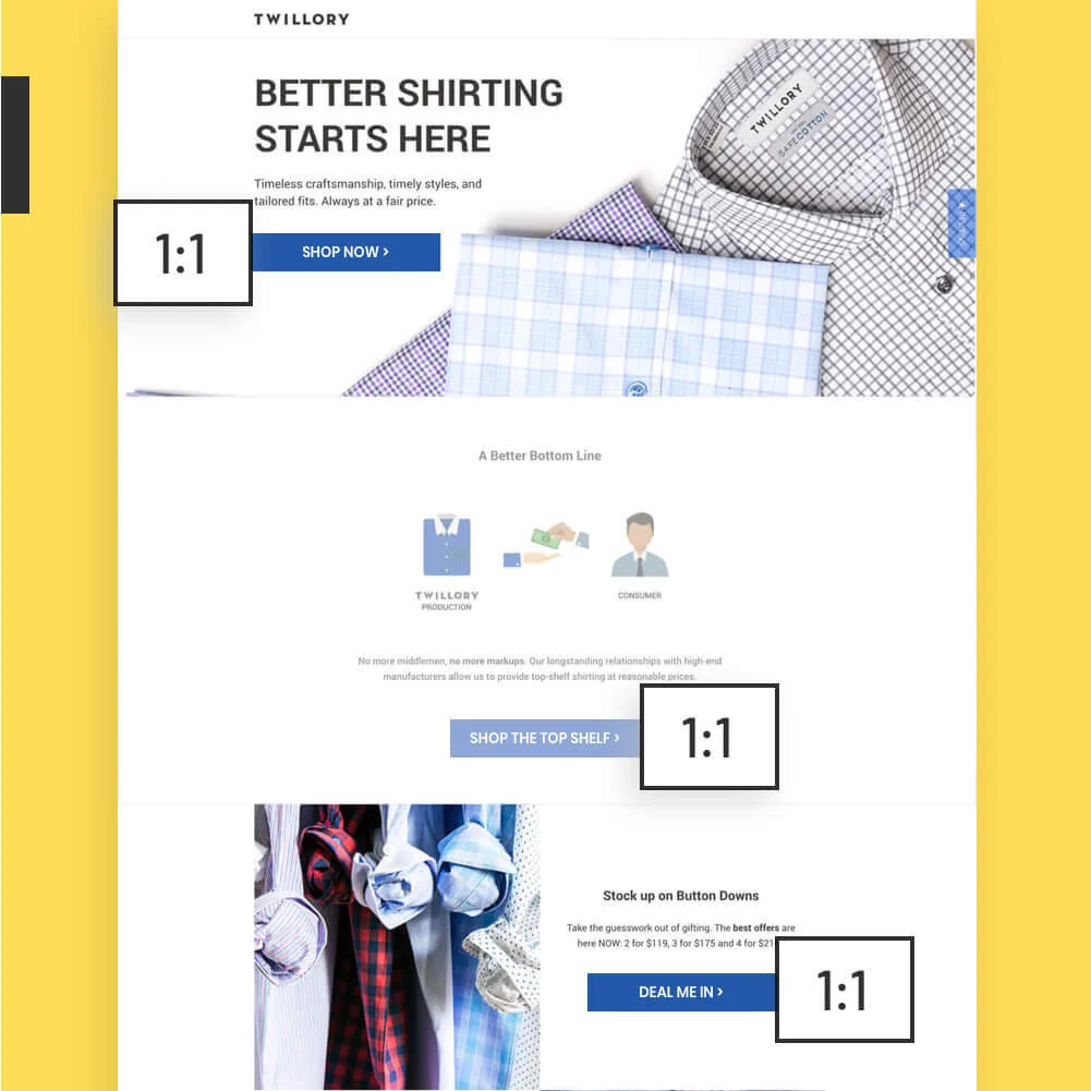 A landing page example from Twillory with a 1:1 attention ratio