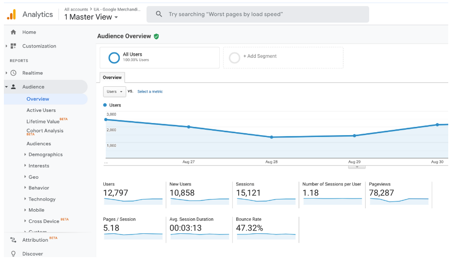 Screenshot of Google Analytics audience overview