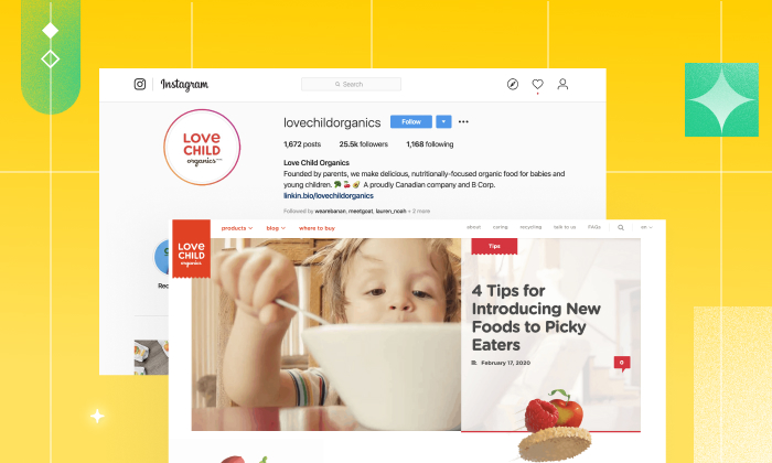Baby Food Brand increased email subscribers with landing pages