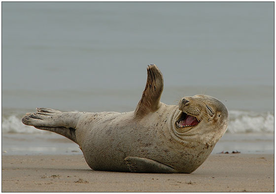 Marketing Therapy- 10 Funny Videos to Get You Through the Next Quarter