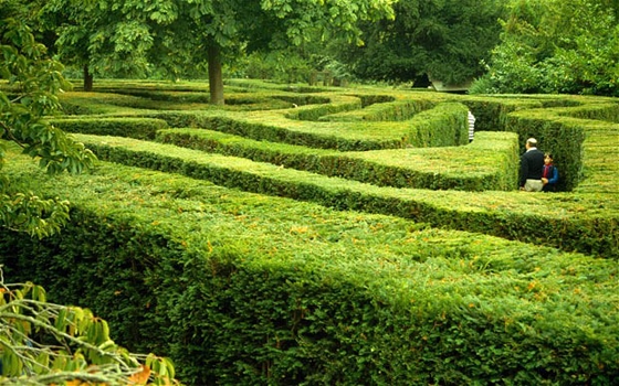 Navigating the Social Labyrinth- Vine, Graph Search & Quora Untangled