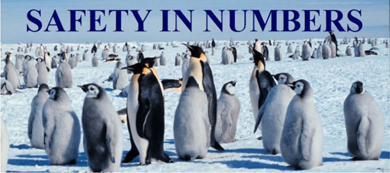 Safety in Numbers