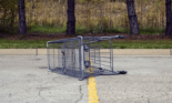 shopping cart feature image