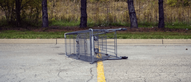 shopping cart feature image