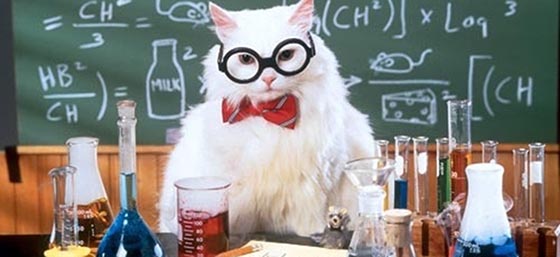 chemistry-cat