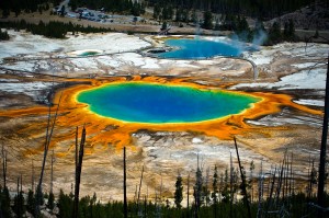 increase conversions with color and contrast