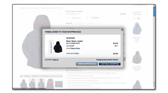 Conversion: Lands' End checkout - after