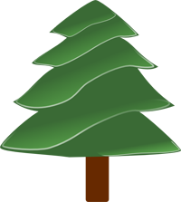 evergreen