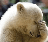 facepalm conversion copy