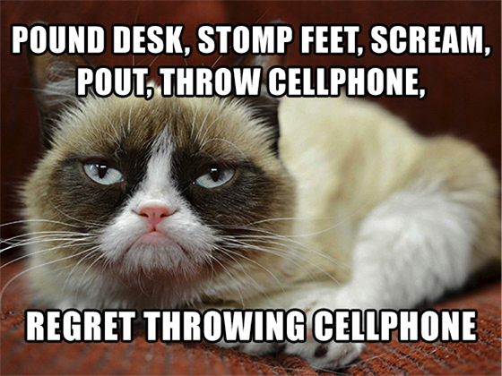 grumpy-cat