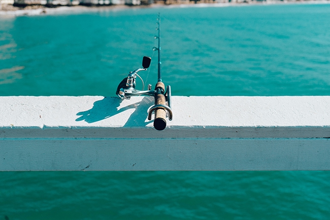 Fishing rod
