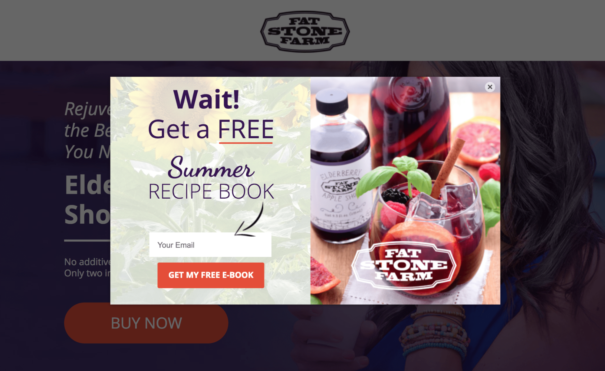 Fat Stone Farm lead gen form example
