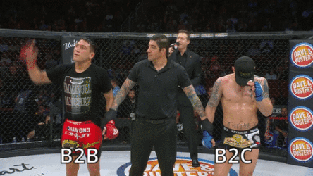 B2B vs B2C PPC analogy