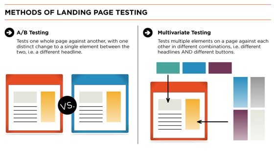 infographic-what-to-test