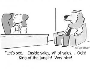 interview marketing blogs