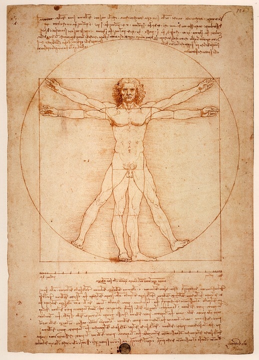 l-homme-de-vitruve