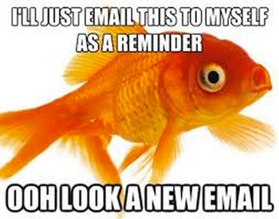 Landing page attention span