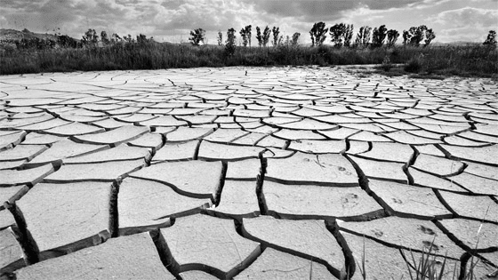 market has dried up