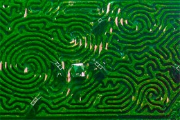 A big maze