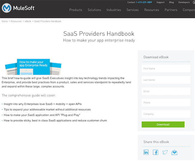 Mulesoft body copy