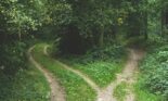 shortcut in woods