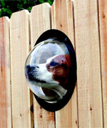 Keep a trained eye on your customers as they pass by.