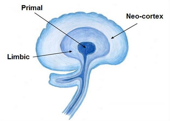 psychology-of-conversion-optimization