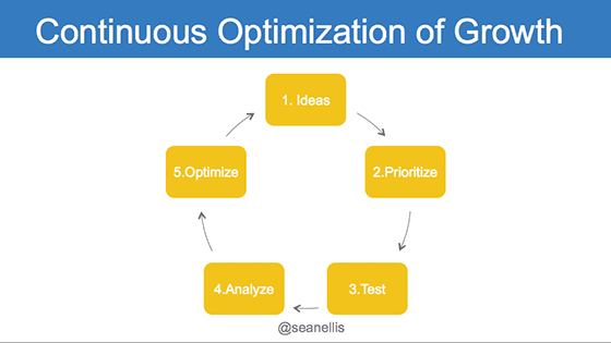 sean-ellis-growth-process