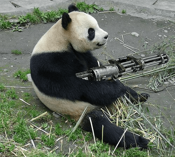 Quora Social Marketing Weapon