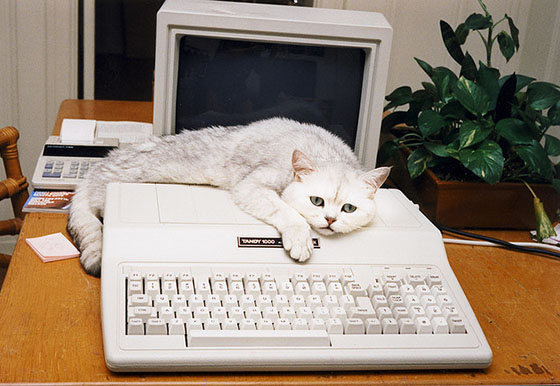 seductive-landing-page-copy