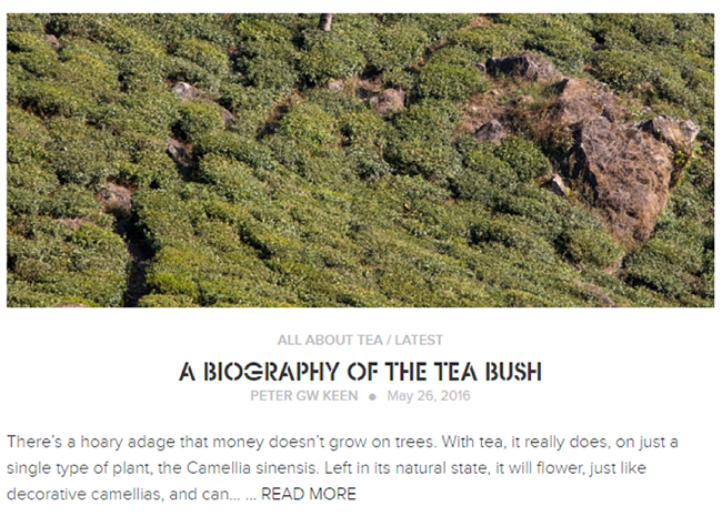 Teabox example of on topic blog content