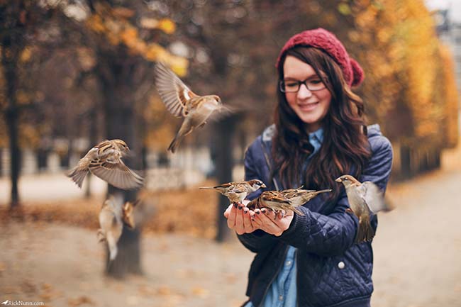 twitter-feed-marketing-650