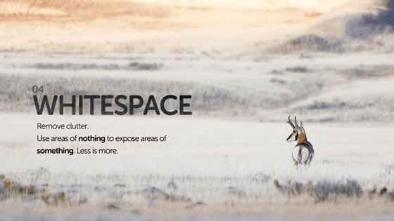 whitespace design growth hack landing page