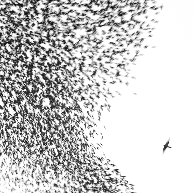 wilco-attention-driven-design